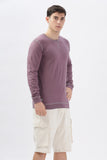 Color Hunt Purple 100% Cotton Solid Sweatshirt - Regular Fit