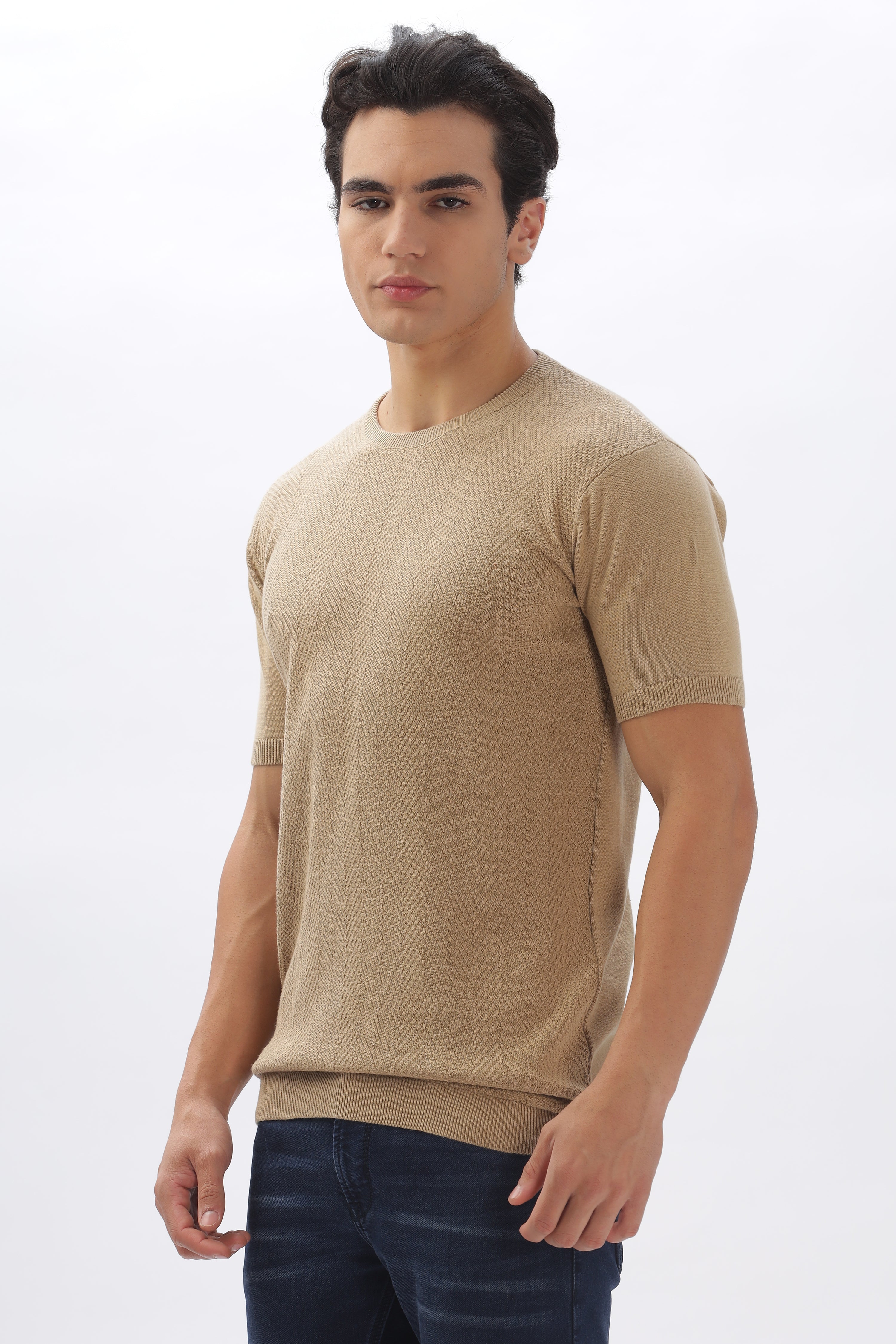 Color Hunt Men's Cotton Beige Half Sleeve Solid Knitted Tshirt - Colorhunt