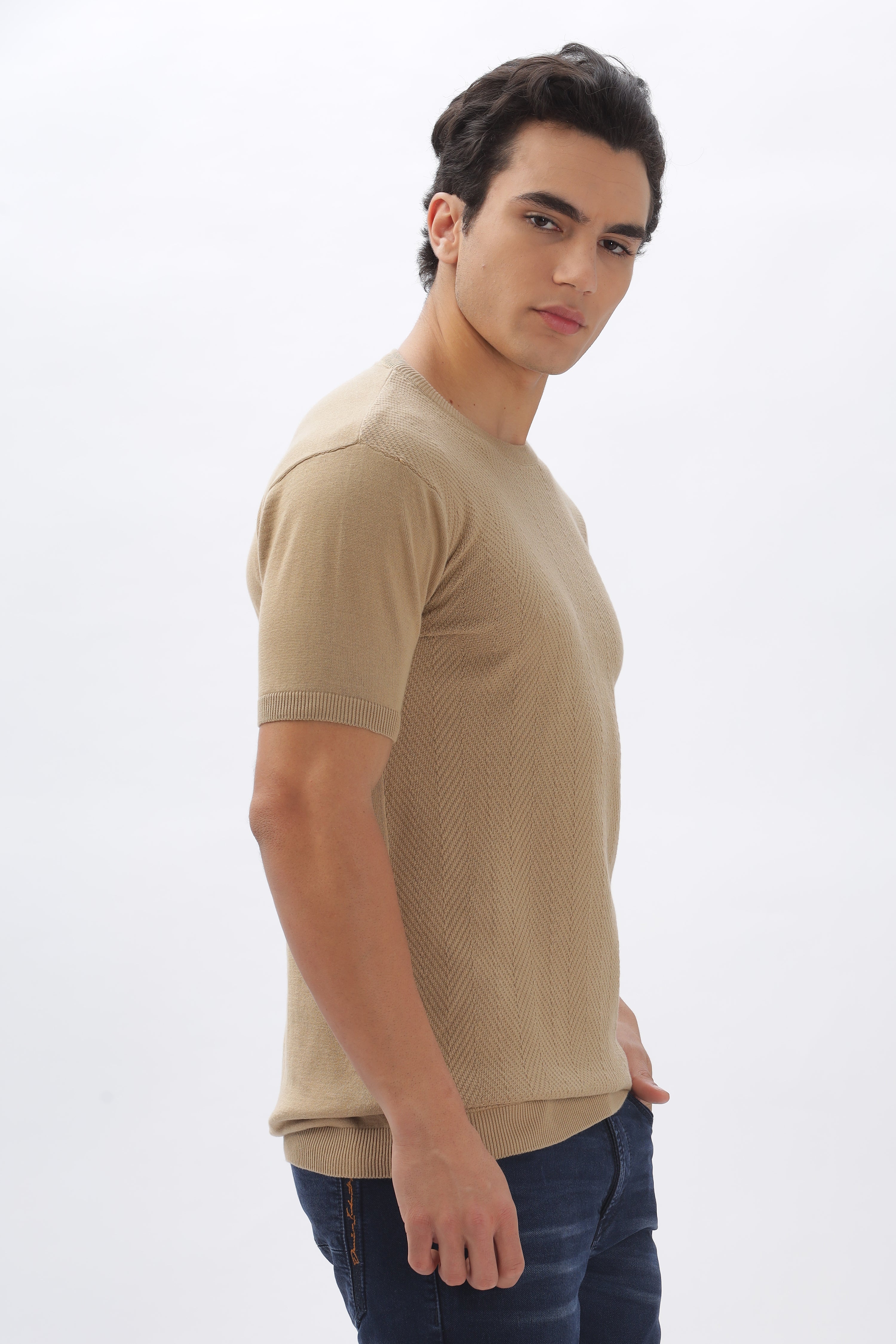 Color Hunt Men's Cotton Beige Half Sleeve Solid Knitted Tshirt - Colorhunt