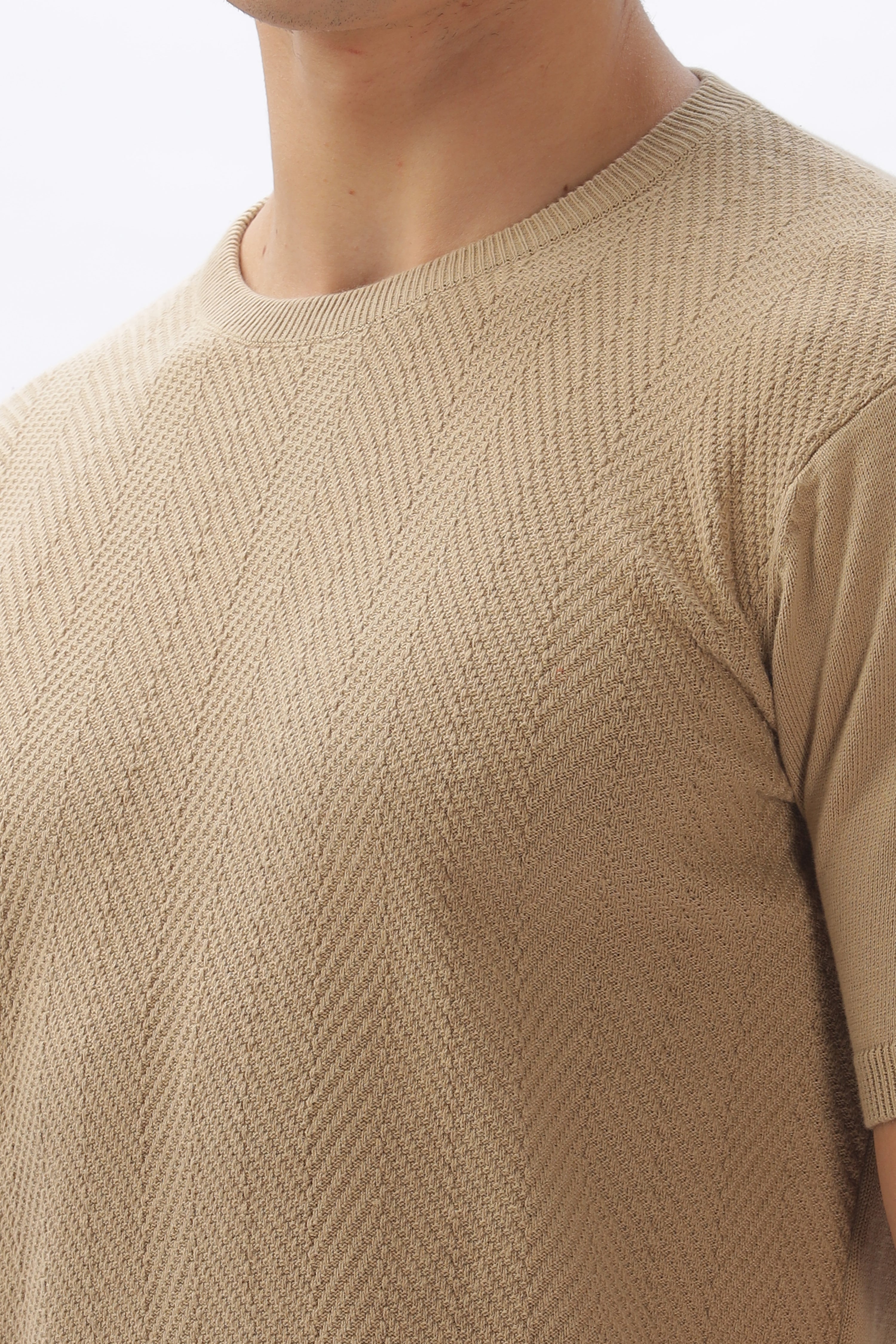 Color Hunt Men's Cotton Beige Half Sleeve Solid Knitted Tshirt - Colorhunt