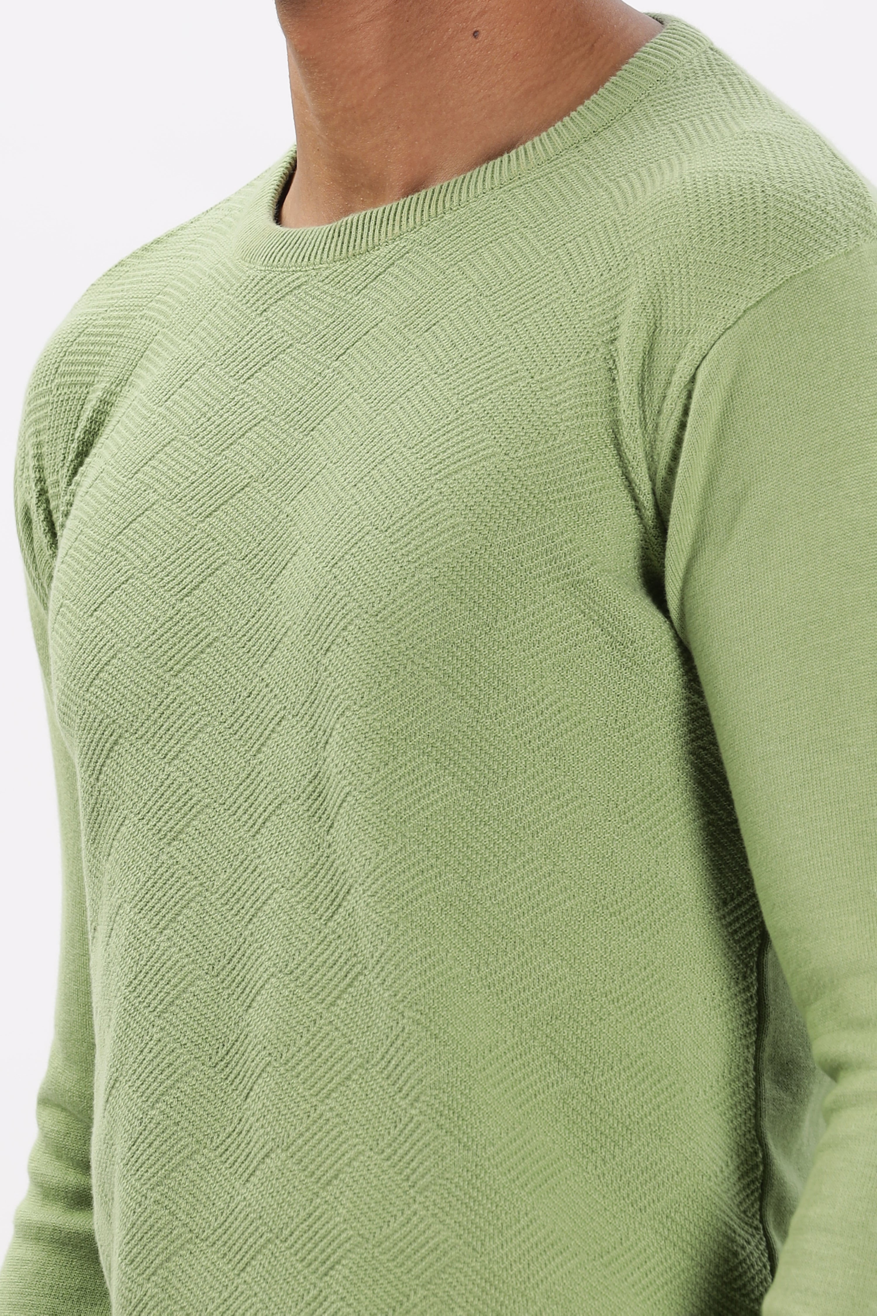 Color Hunt Men's Green Full Sleeve Regular Fit Flat Knit