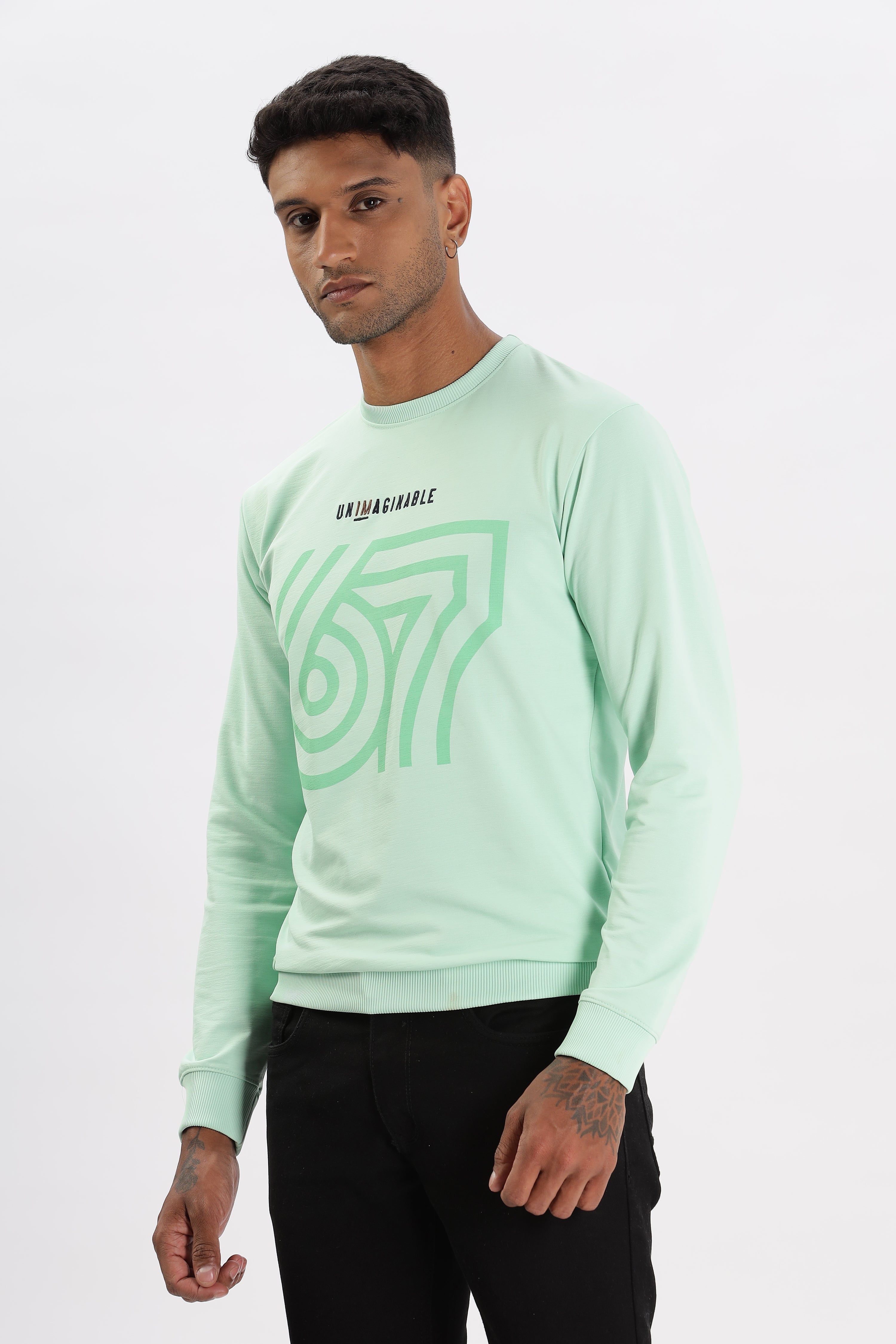 Color Hunt Men's L. Mint Green Full Sleeve Regular Fit Sweatshirt