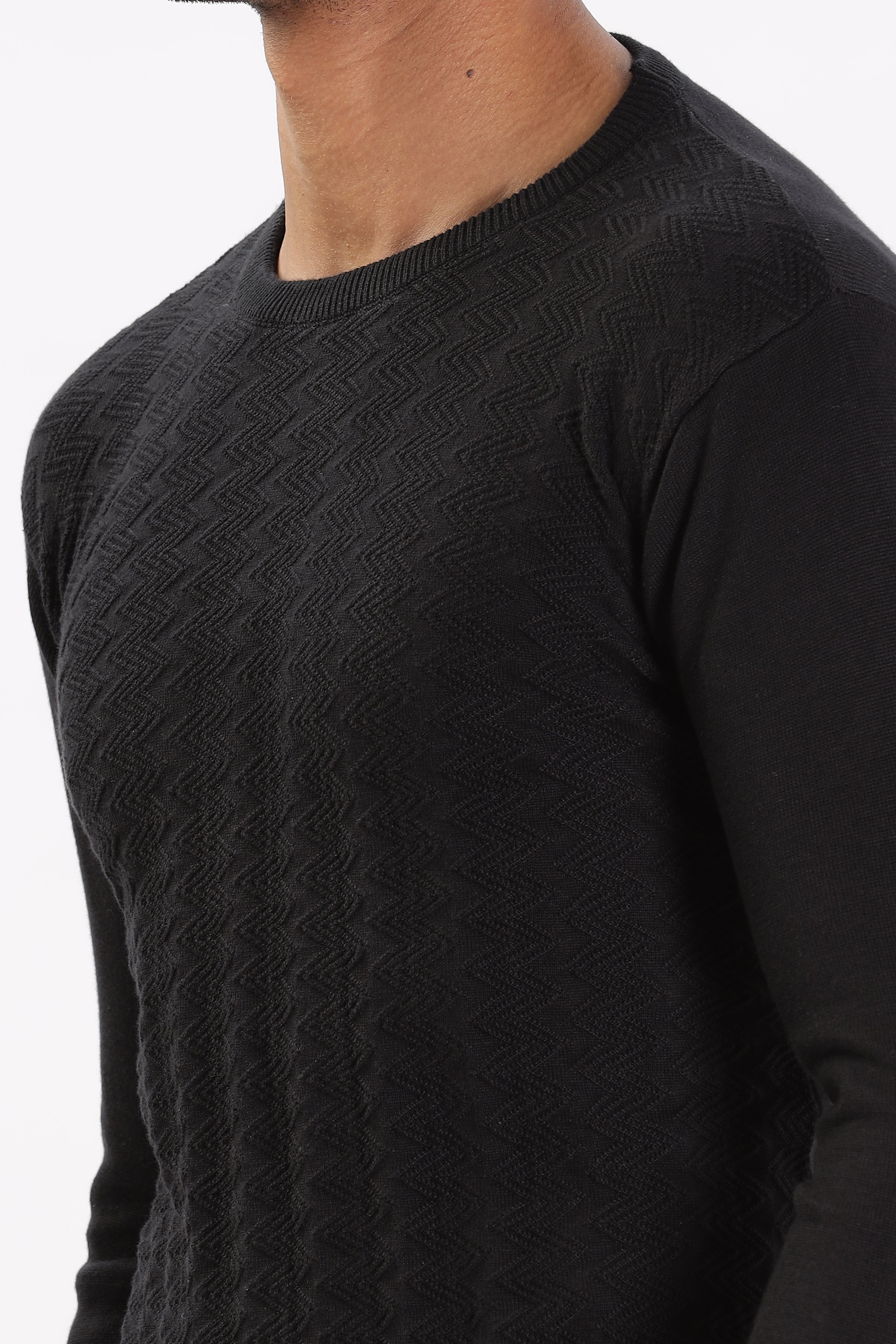 Color Hunt Men's Black Full Sleeve Regular Fit Flat Knit