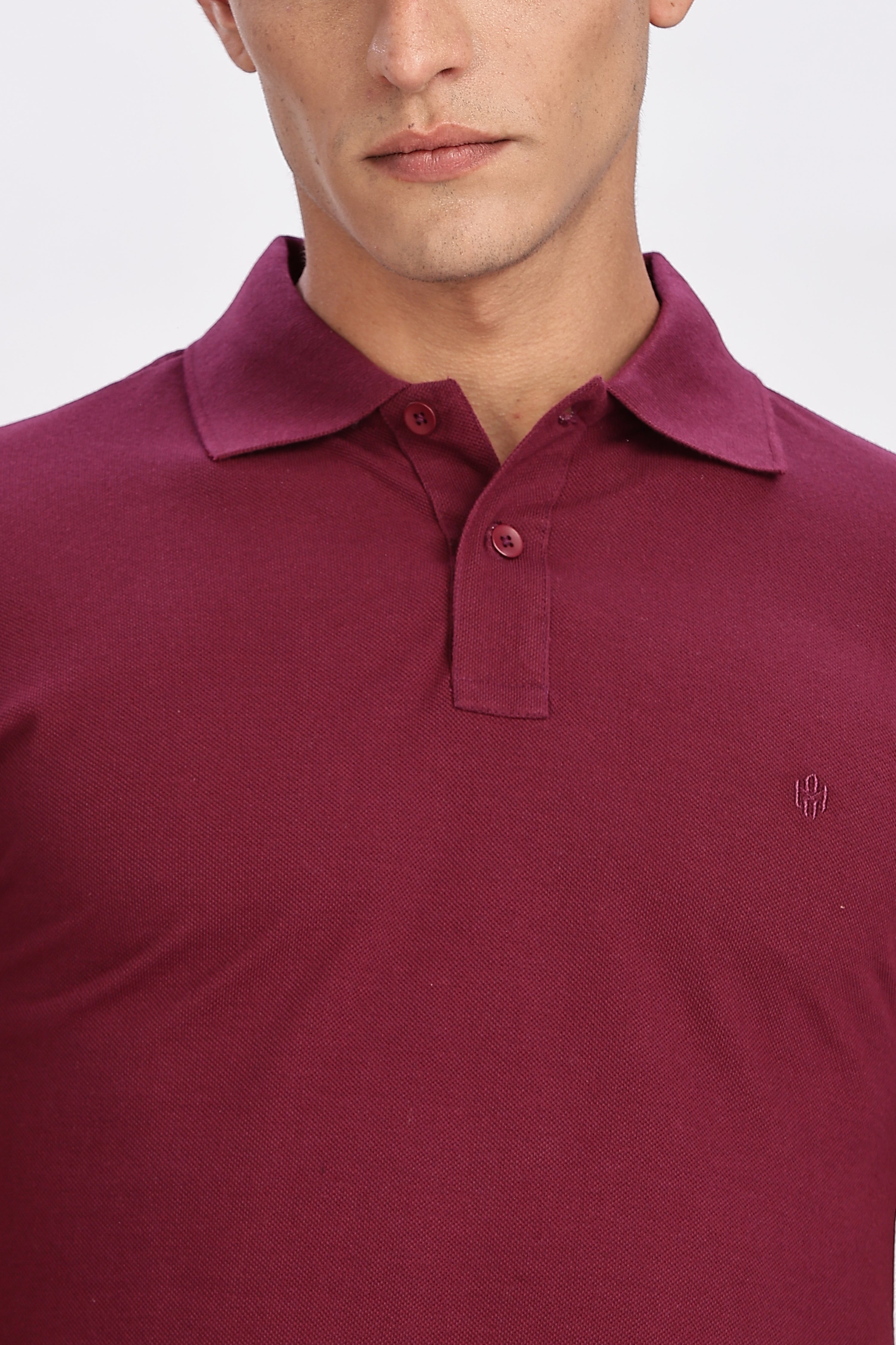 Color Hunt Men's Purple Regular Fit Polo T-Shirt