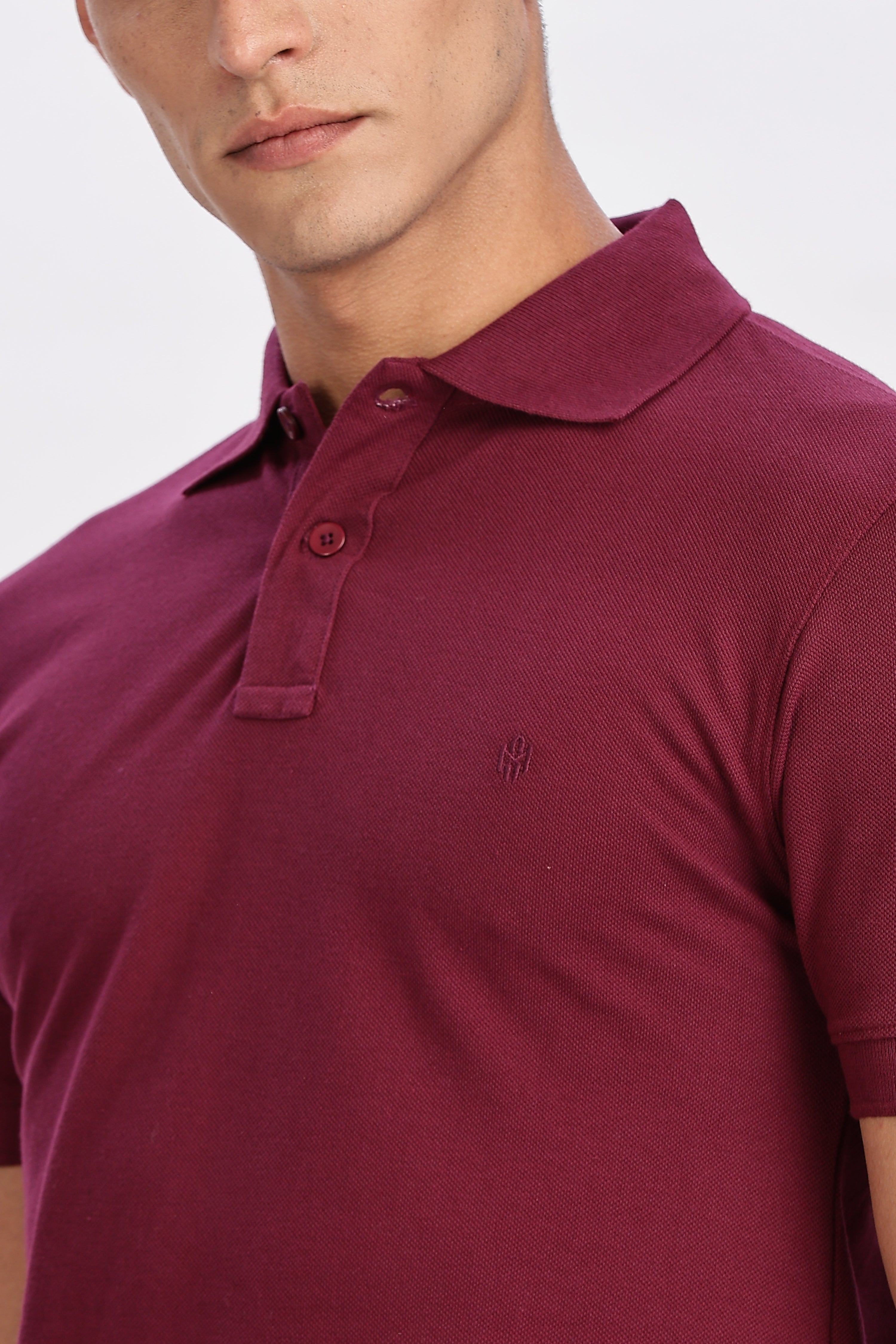 Color Hunt Men's Purple Regular Fit Polo T-Shirt