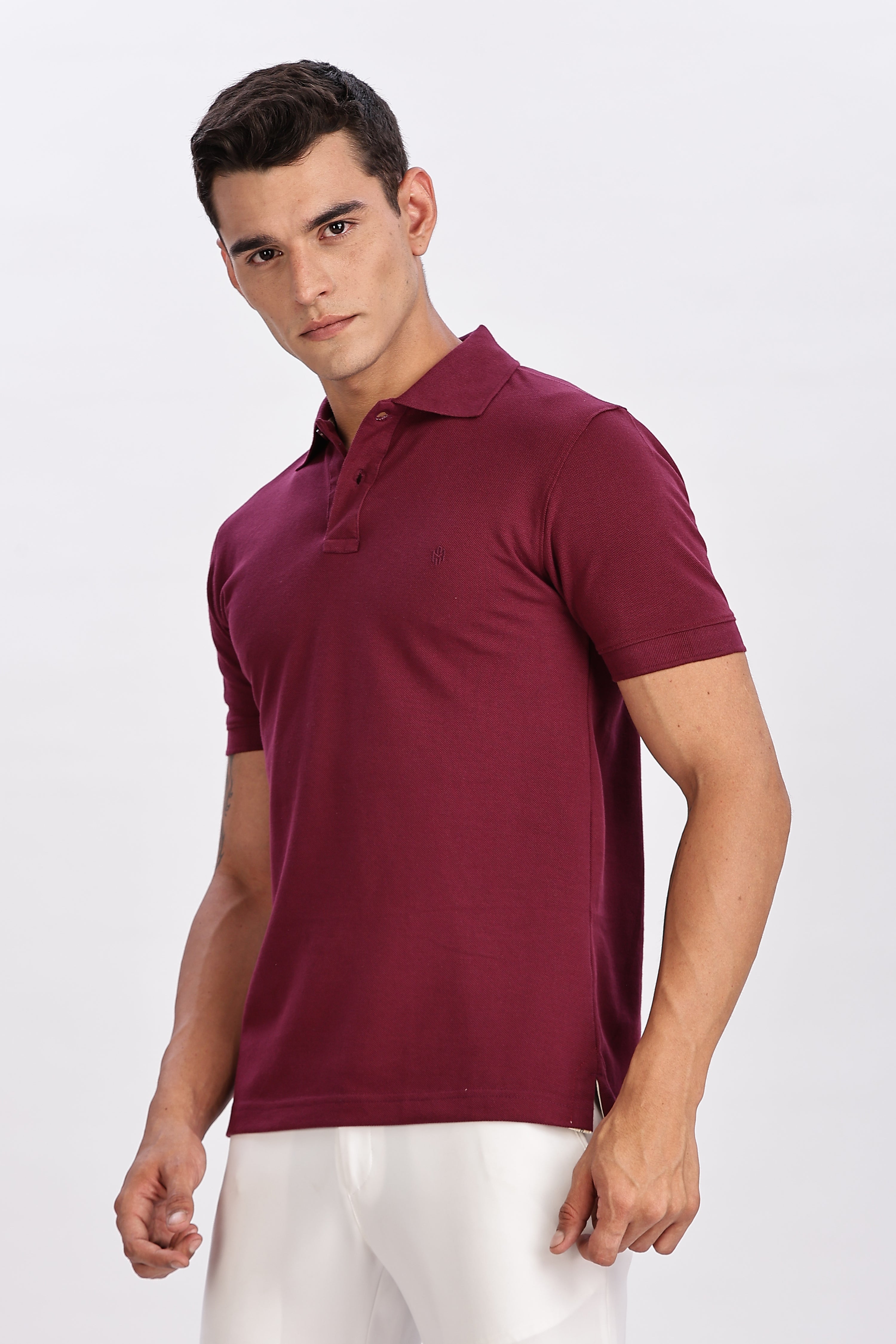 Color Hunt Men's Purple Regular Fit Polo T-Shirt