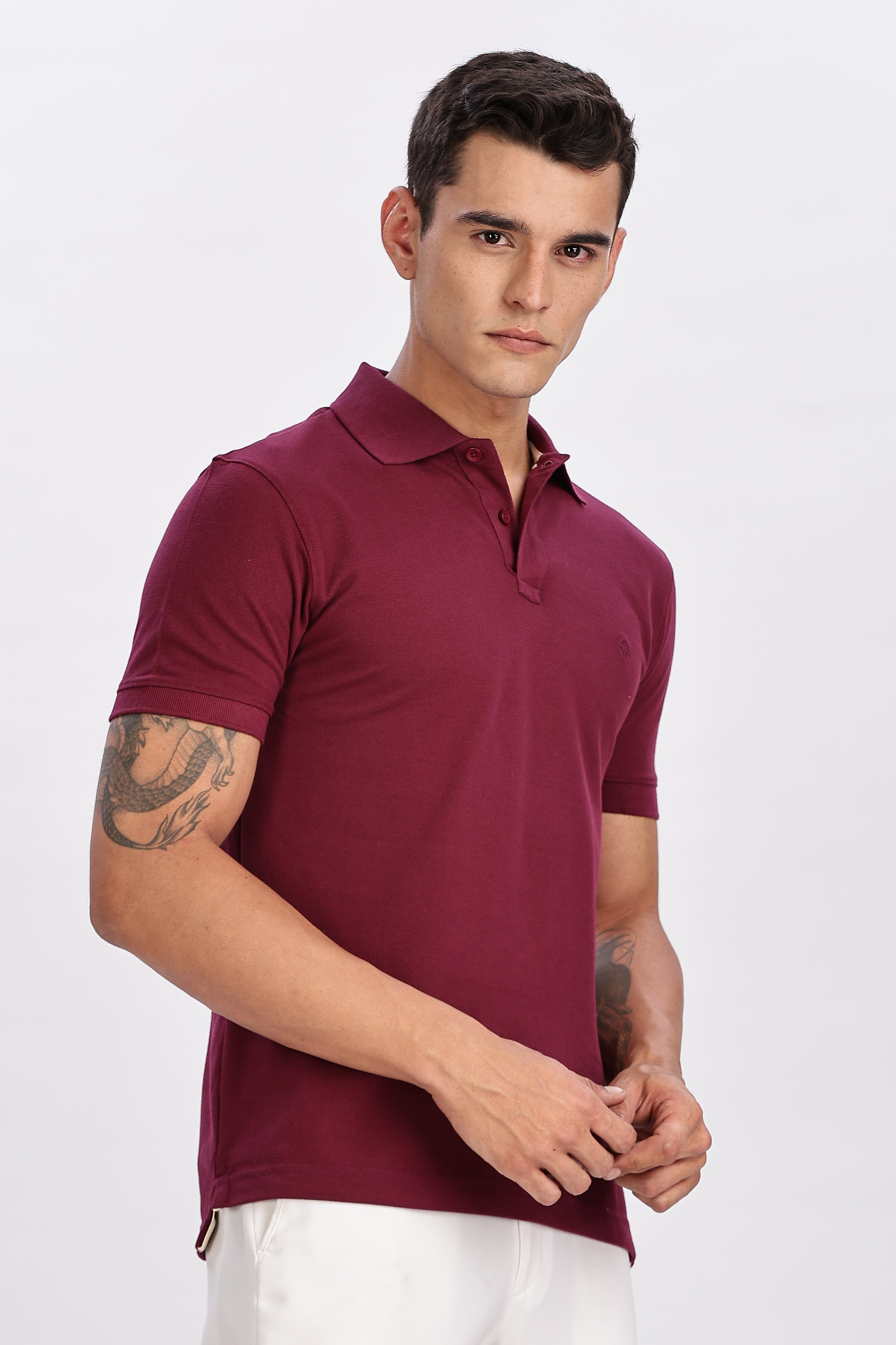 Color Hunt Men's Purple Regular Fit Polo T-Shirt