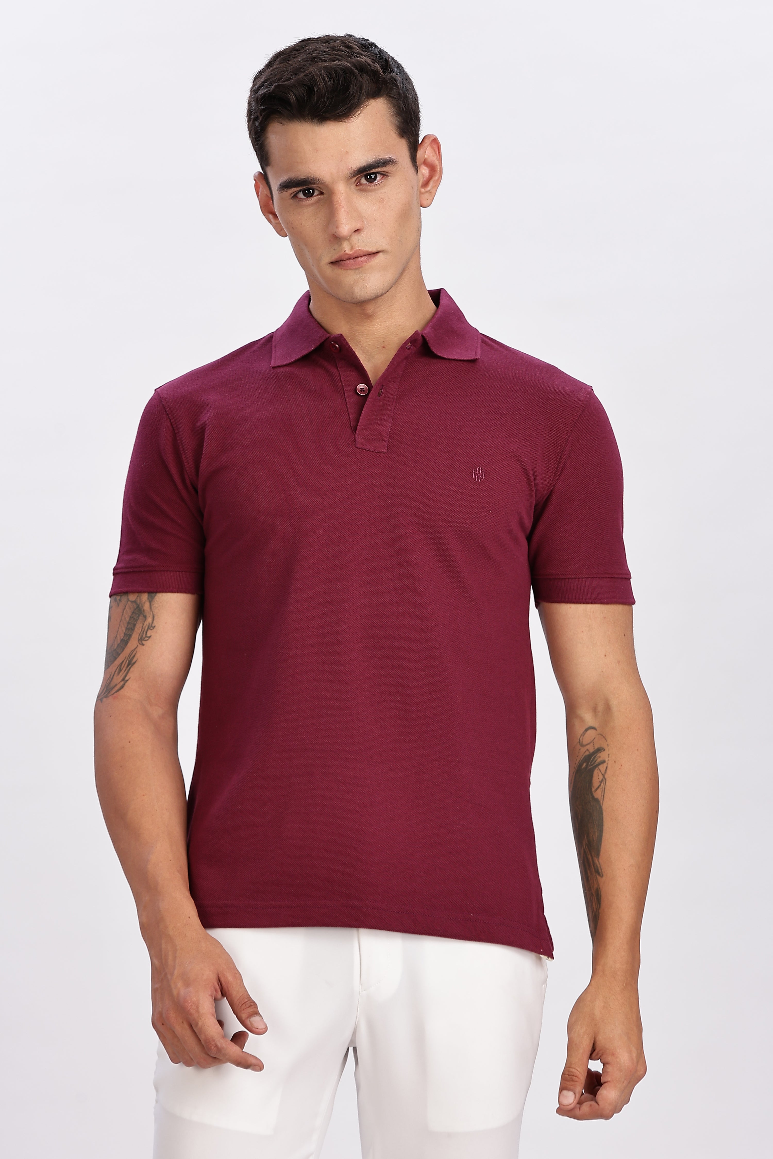 Color Hunt Men's Purple Regular Fit Polo T-Shirt